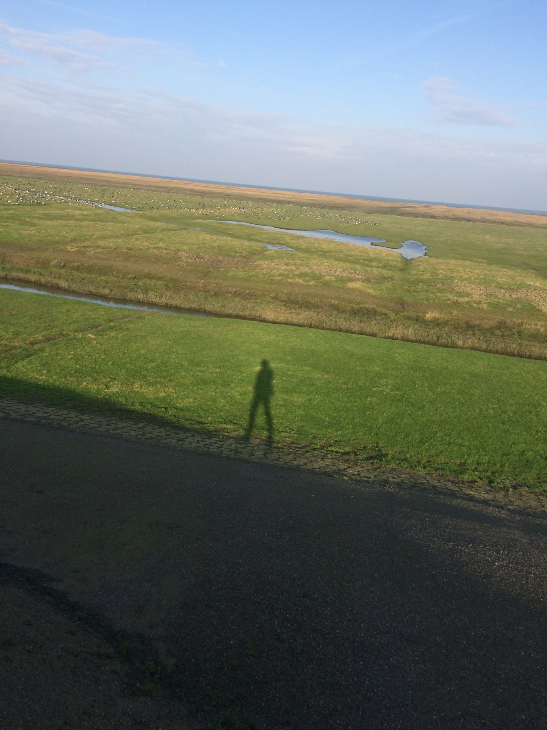 je eigen loopbaancoach